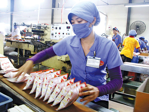 Vua mi tom Miliket: Song khoe va bao lai chuc ty nho 2 con tom hinh anh