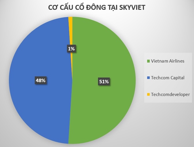 SkyViet da bi co dong cong ty de nghi giai the anh 2