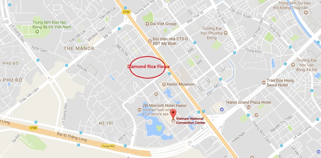 Dai gia Dang Thanh Tam ban dut Diamond Rice Flowe anh 1