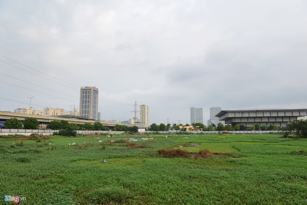 Dai gia Dang Thanh Tam ban dut Diamond Rice Flowe anh 3