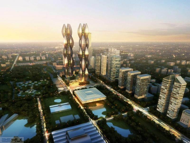 Dai gia Dang Thanh Tam ban dut Diamond Rice Flowe anh 2