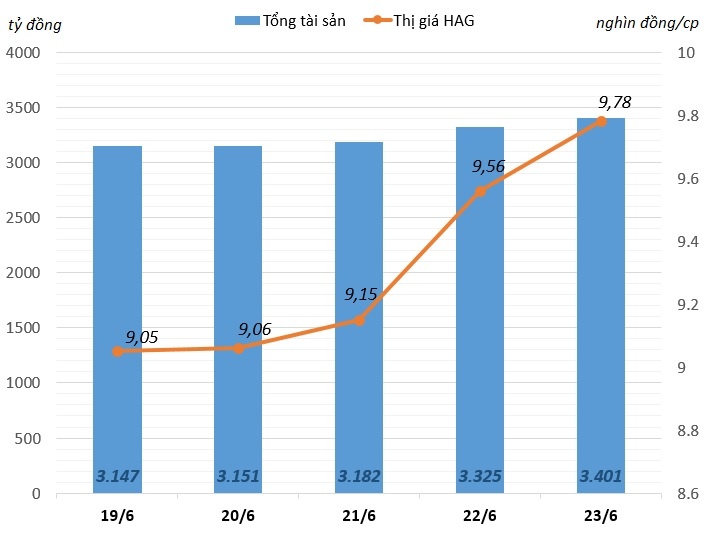 Bầu Đức đi bán trái cây ảnh 3 Bau Duc di ban trai cay anh 3