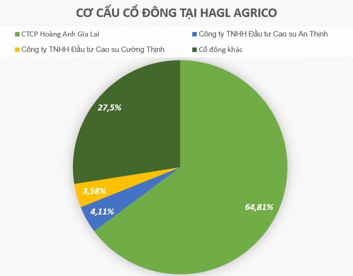 Trai phieu chuyen doi 1.100 ty dong cong ty bau Duc anh 3