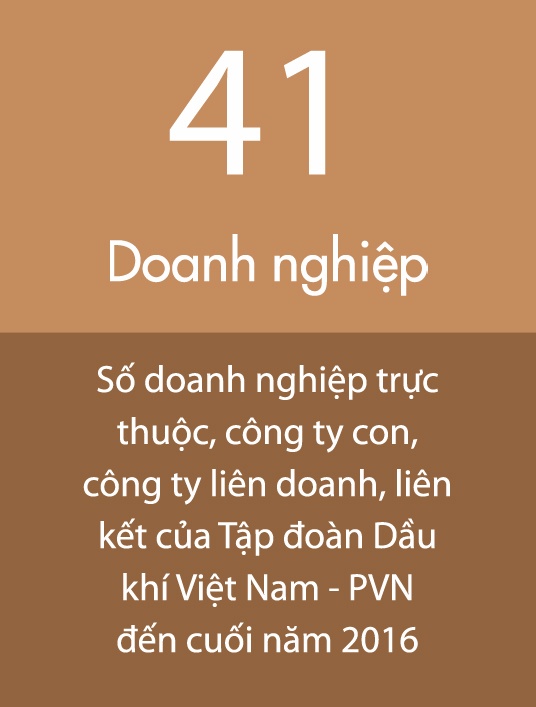 Chot danh sach thoai von,  co phan hoa PVN anh 1