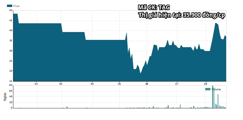 Trần anh bán toàn bộ vốn cho thế giới di động ảnh 1 Tran anh ban toan bo von cho the gioi di dong anh 1