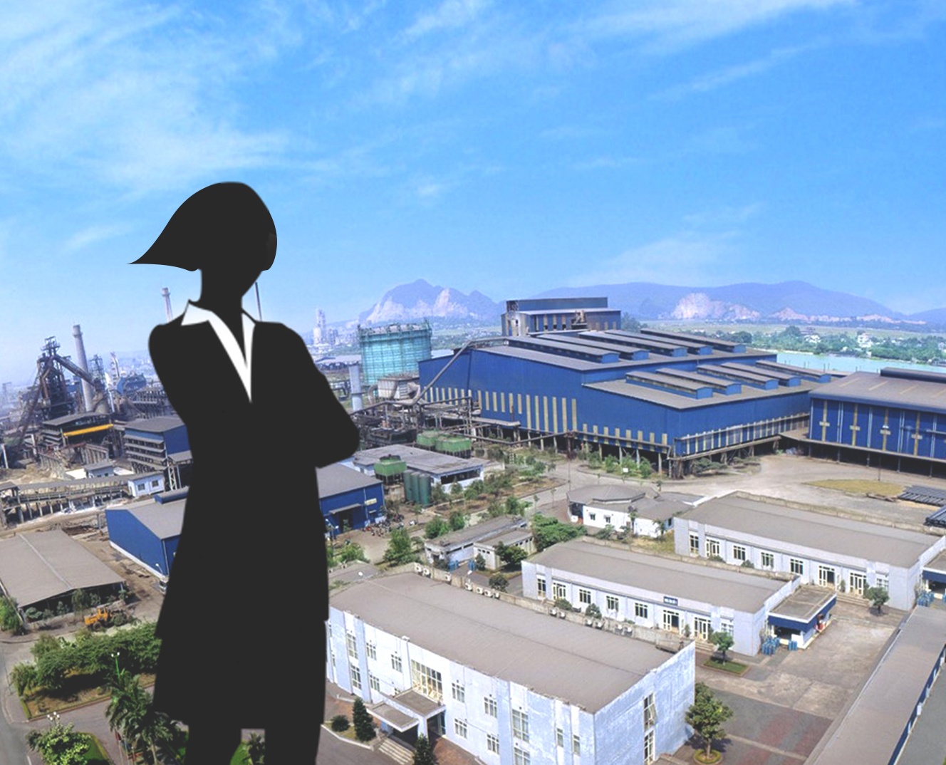 10 tỷ phú quyền lực và giàu có bậc nhất Việt Nam ảnh 9 10 ty phu quyen luc va giau co bac nhat Viet Nam anh 9