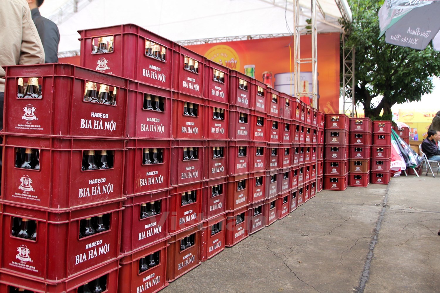 Carlsberg muon so huu it nhat 51% co phan Habeco hinh anh