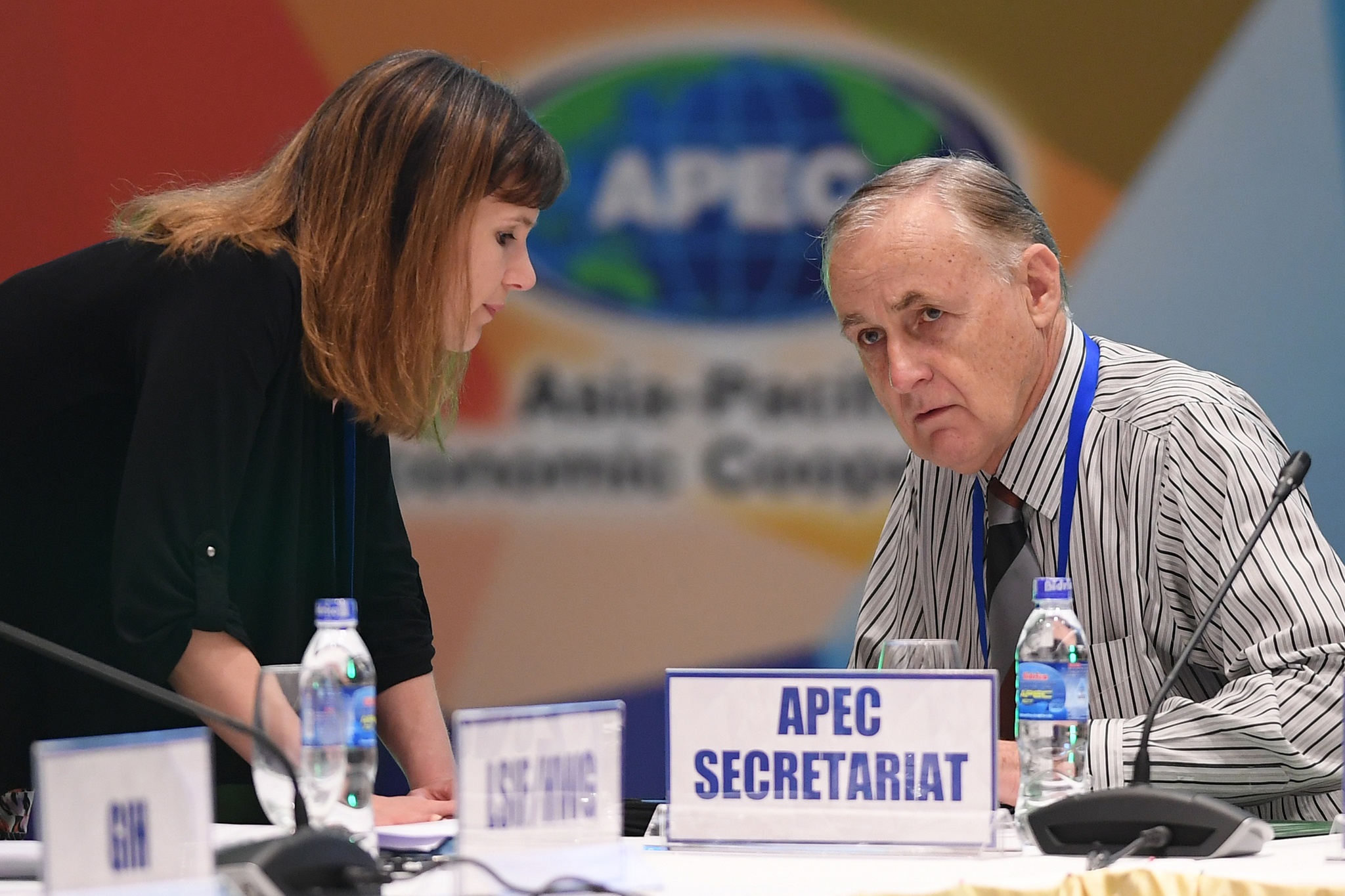 hoi nghi bo truong tai chinh apec anh 6