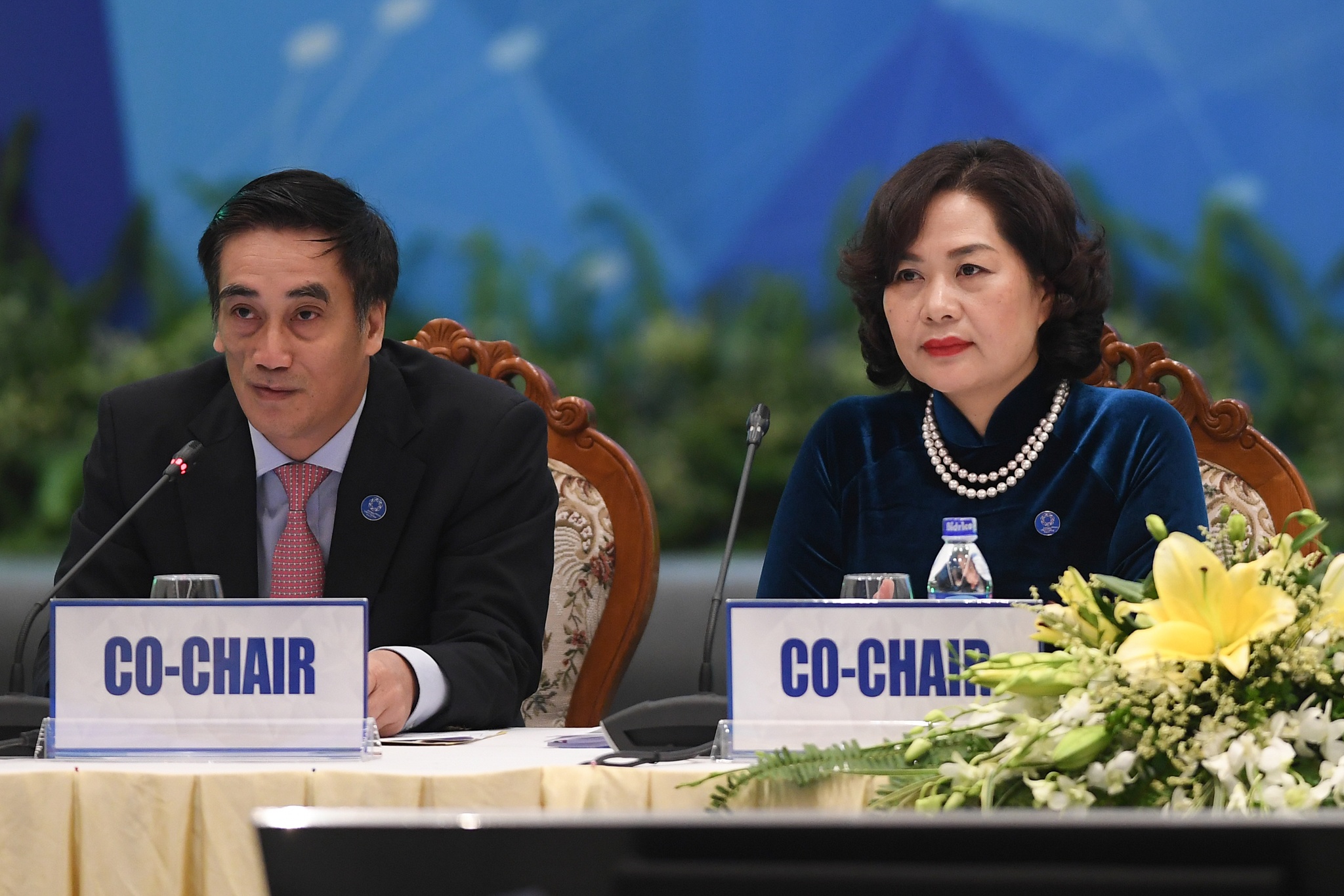 'Chung toi hop tac chat voi Viet Nam, du co TPP hay khong' hinh anh