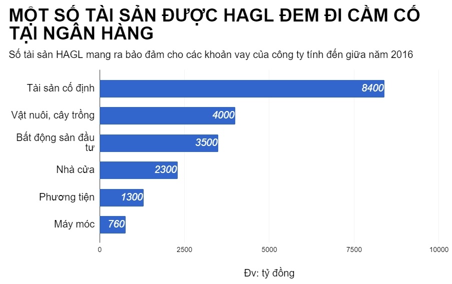 chu no lon nhat cua hoang anh gia lai anh 3