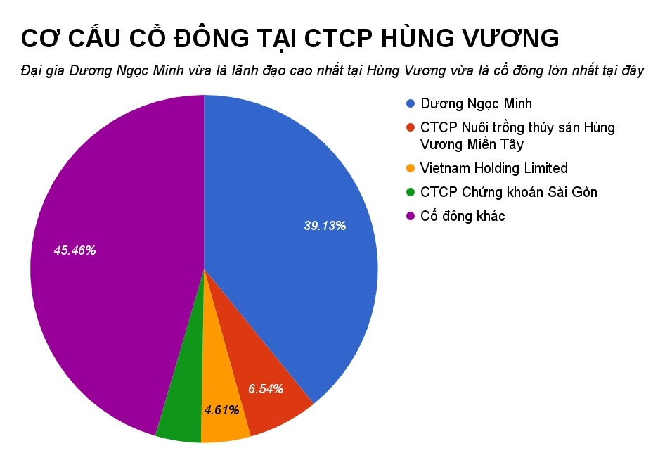 dai gia duong ngoc minh ban tai san tra no anh 3