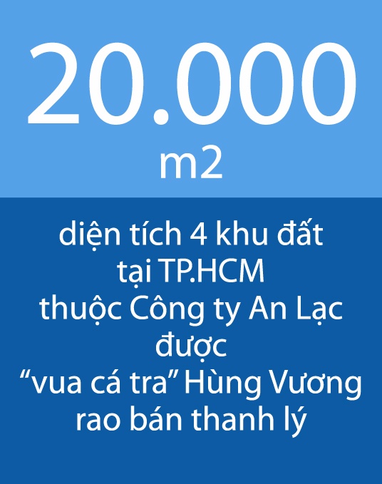 dai gia duong ngoc minh ban tai san tra no anh 1
