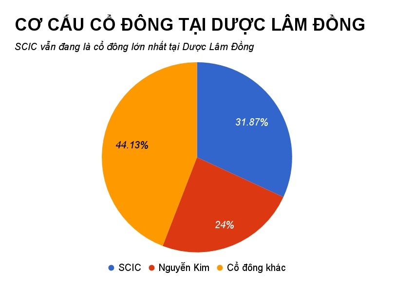 dien may nguyen kim muon thau tom chuoi duoc pham anh 1
