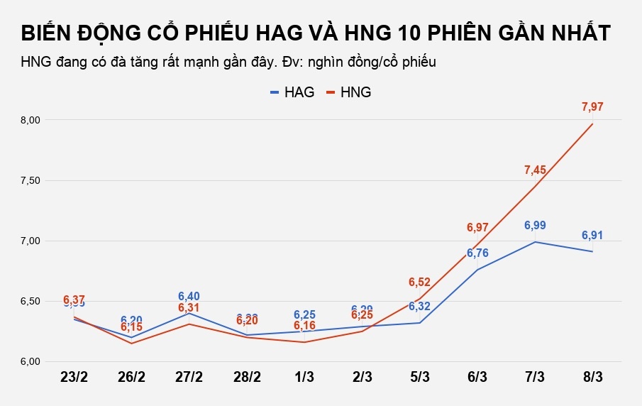 công ty bầu đức hoàng anh gia lai ảnh 1 cong ty bau duc hoang anh gia lai anh 1