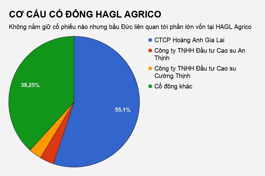 công ty bầu đức hoàng anh gia lai ảnh 2 cong ty bau duc hoang anh gia lai anh 2