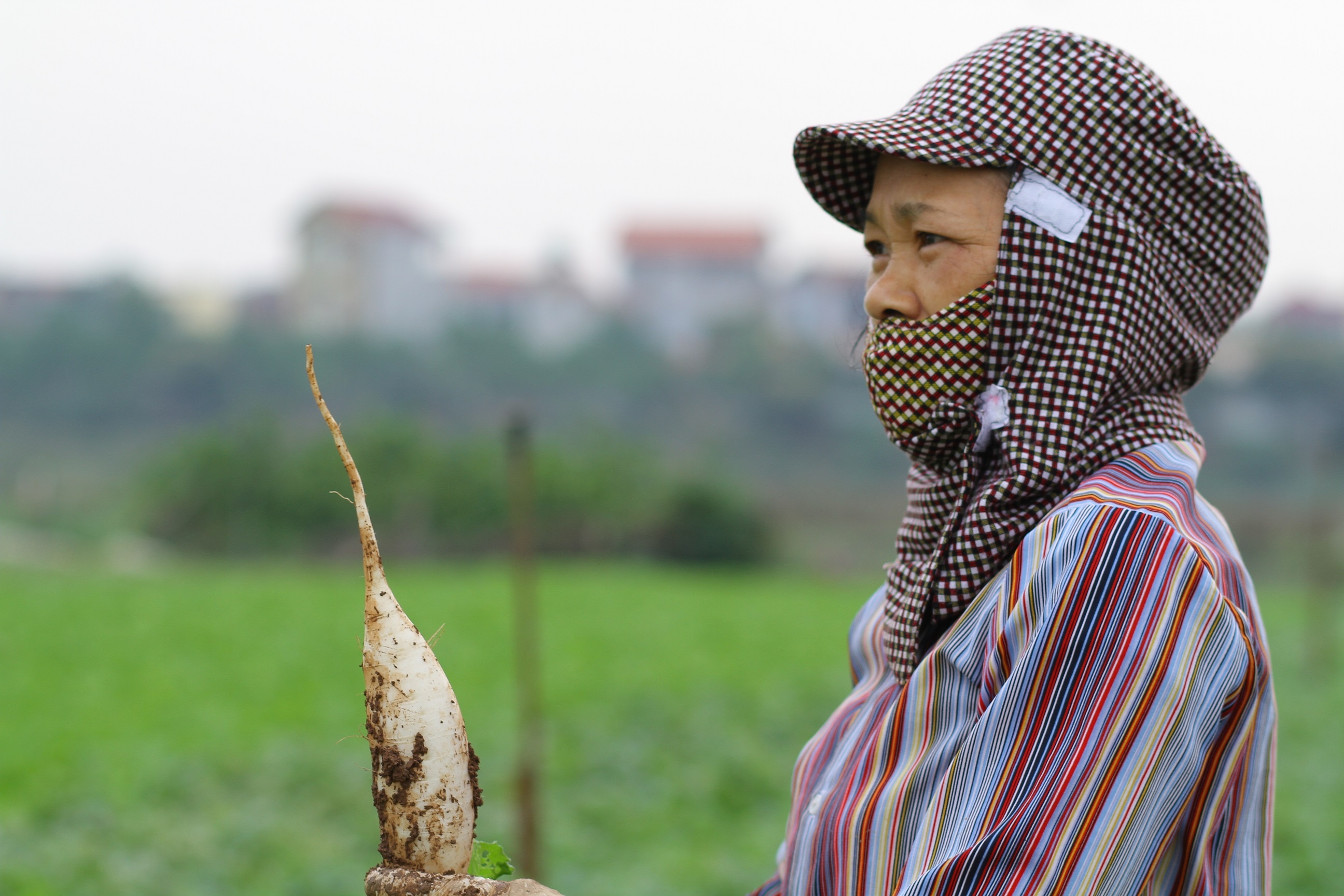 giai cuu cu cai trang anh 2