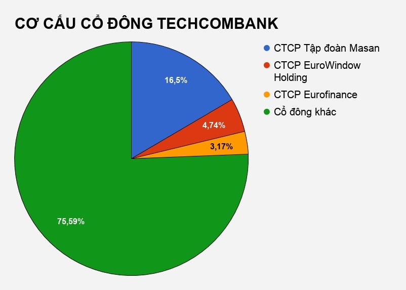 lanh dao techcombank mua co phieu gia hoi anh 2