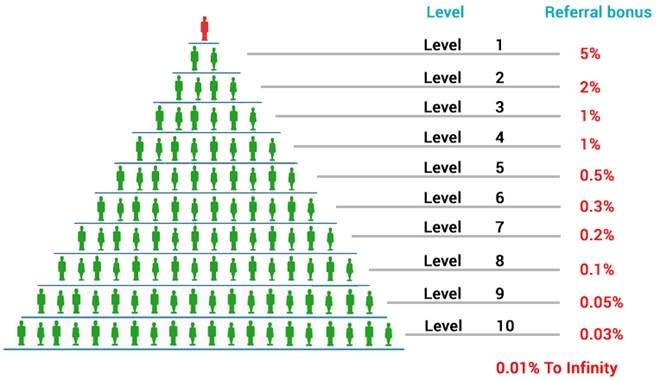 ong chu 8x dung sau cong ty modern tech anh 1