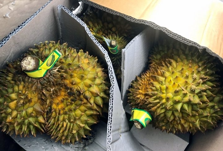 Ha Noi: Xep hang giua trua nang tranh mua 17 tan sau rieng e hinh anh