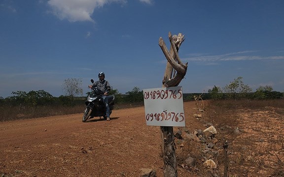 Sot dat bat ngo 'ghe tham' cac dia phuong heo lanh hinh anh