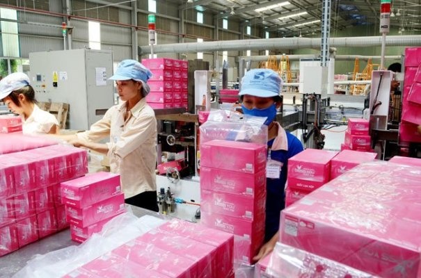 Nguoi Nhat chi hon 2.000 ty dong mua cong ty giay lon nhat Viet Nam hinh anh