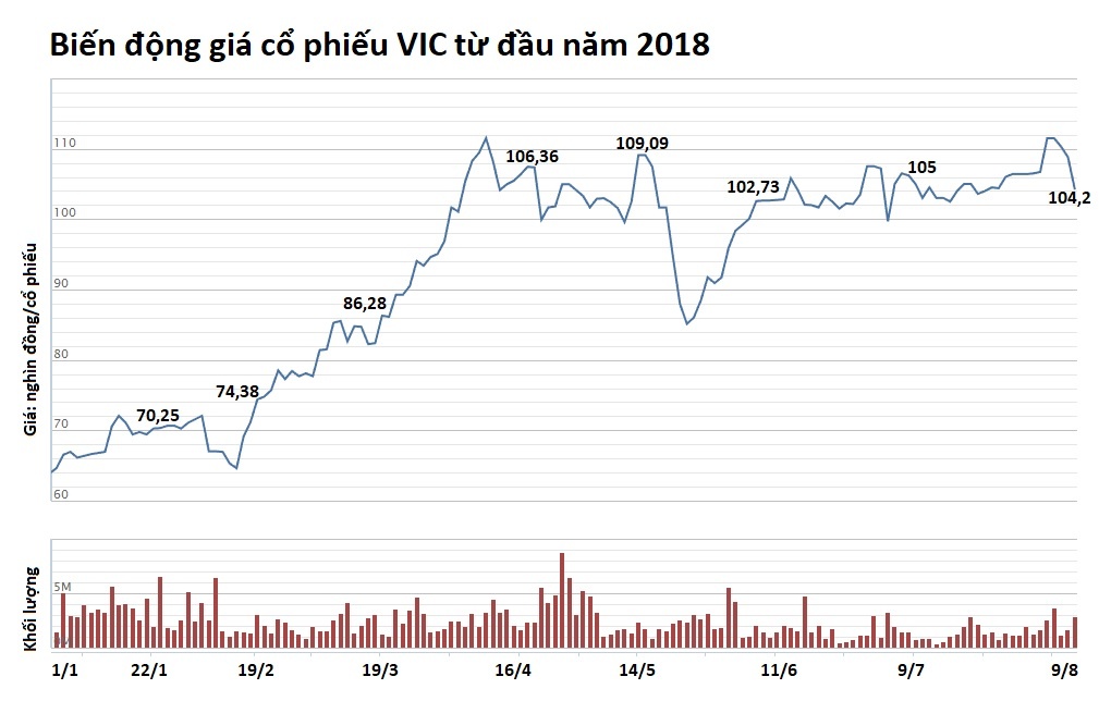 doanh nghiệp của tỷ phú vượng ảnh 3 doanh nghiep cua ty phu vuong anh 3