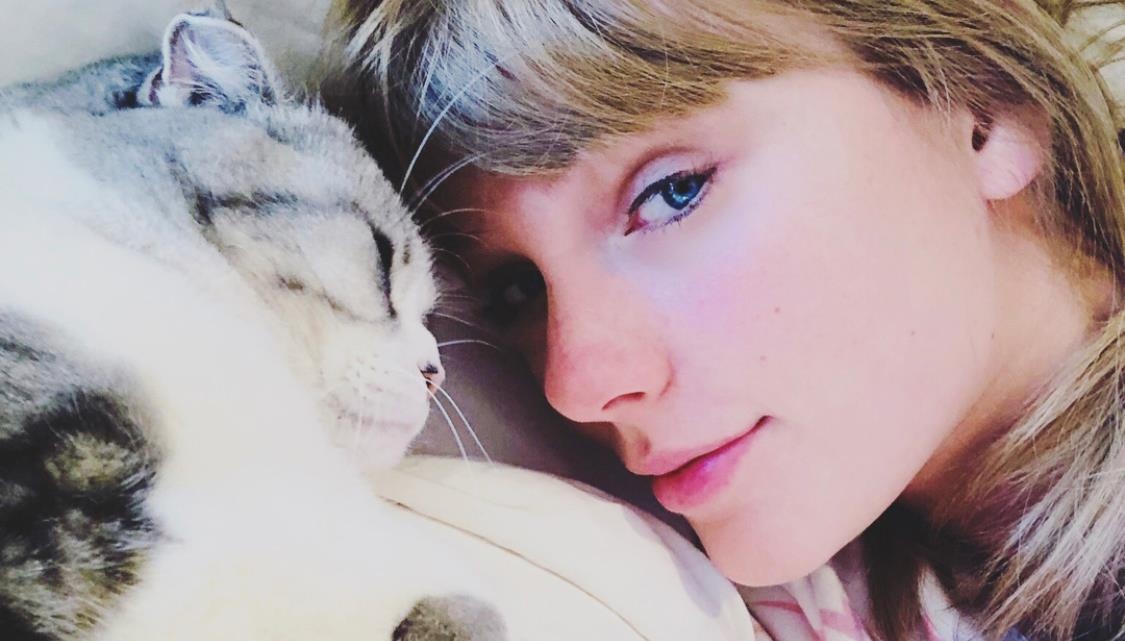 Taylor Swift chi tieu nhu the nao anh 11