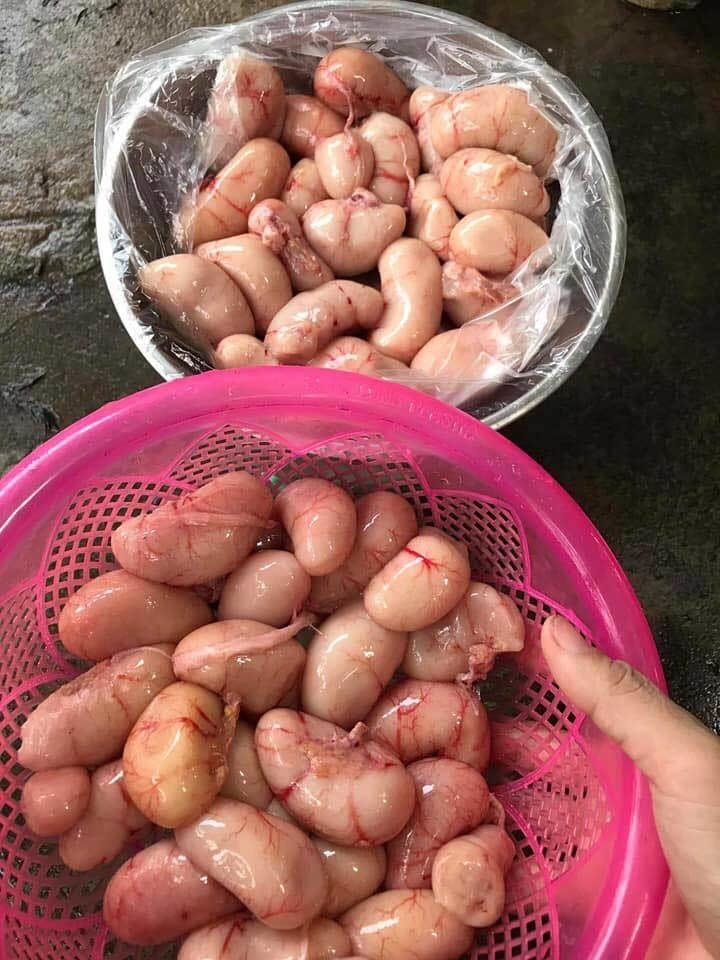 đại gia săn tìm ngọc kê tẩm bổ ảnh 2 dai gia san tim ngoc ke tam bo anh 2