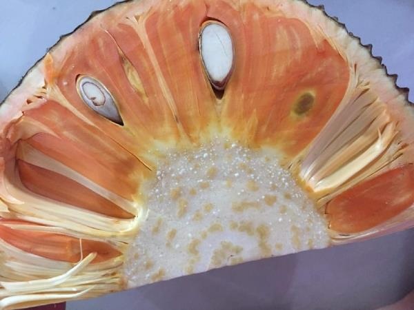 Mit co mau la dat gap 10 lan loai thuong van khien chi em me man hinh anh