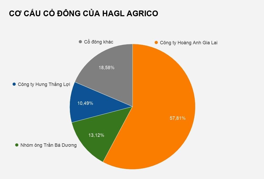 Ong Tran Ba Duong da nam hon 13% von tai HAGL anh 2