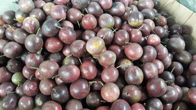 trung quốc siết nhập hàng trái cây việt mất giá ảnh 1 trung quoc siet nhap hang trai cay viet mat gia anh 1