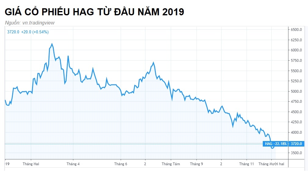 cổ phiếu công ty bầu đức ảnh 1 co phieu cong ty bau duc anh 1