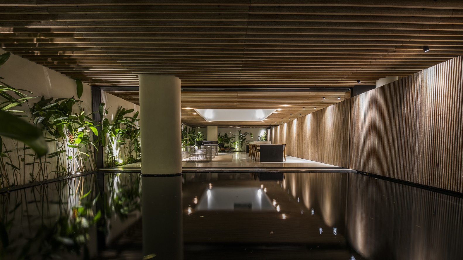 Ngoi nha thiet ke nhu mot thung lung giua TP.HCM hinh anh