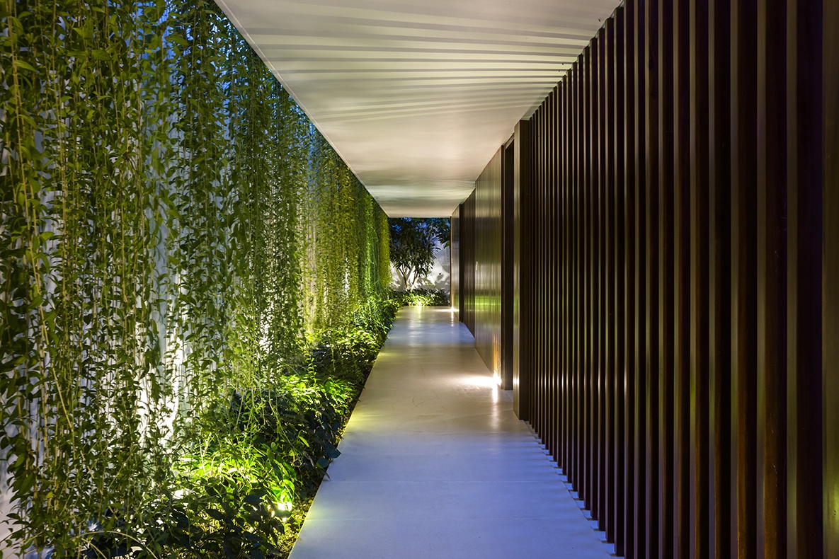 Ngoi nha duoc bao phu boi cay xanh anh 12