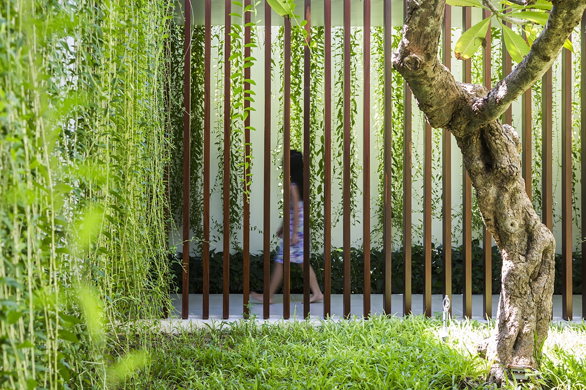 Ngoi nha duoc bao phu boi cay xanh anh 7