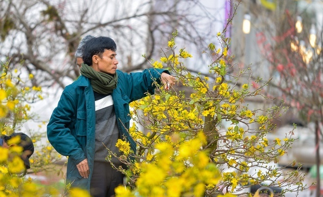 Thuong Tet Nguyen dan nam nay khac gi so voi truoc? hinh anh