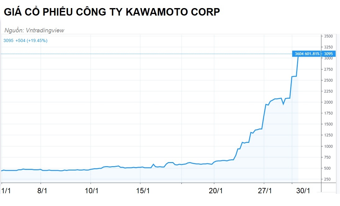 Hang duoc pham,  y te huong loi vi virus corona bung phat anh 2