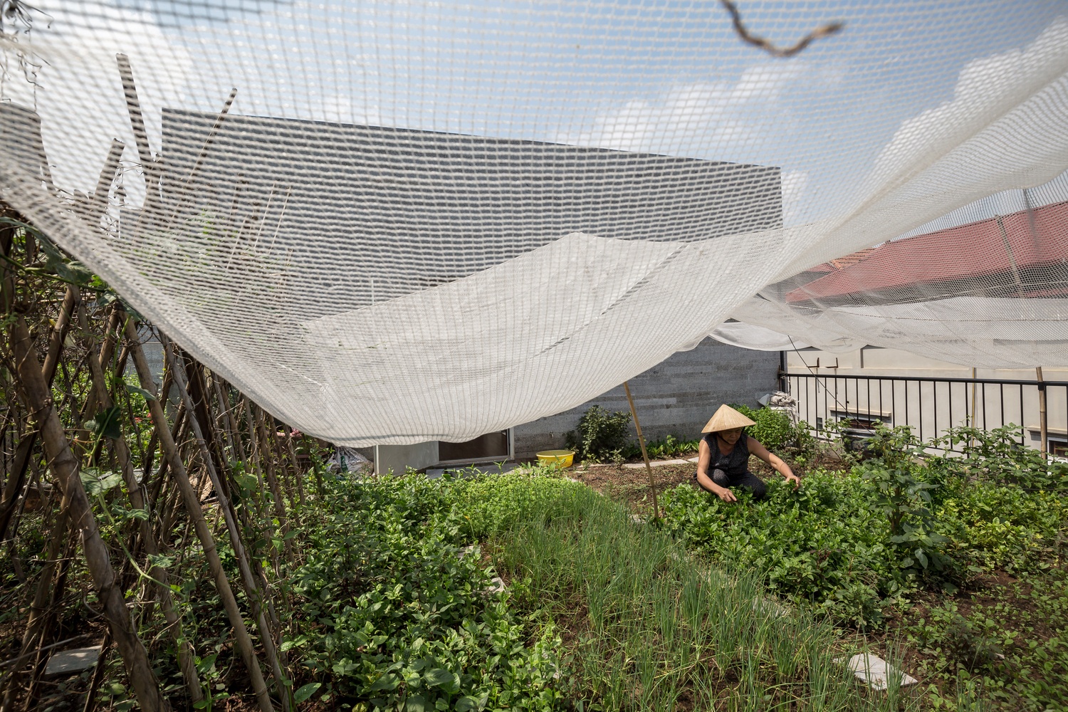 Nhung mau thiet ke nha dep anh 12