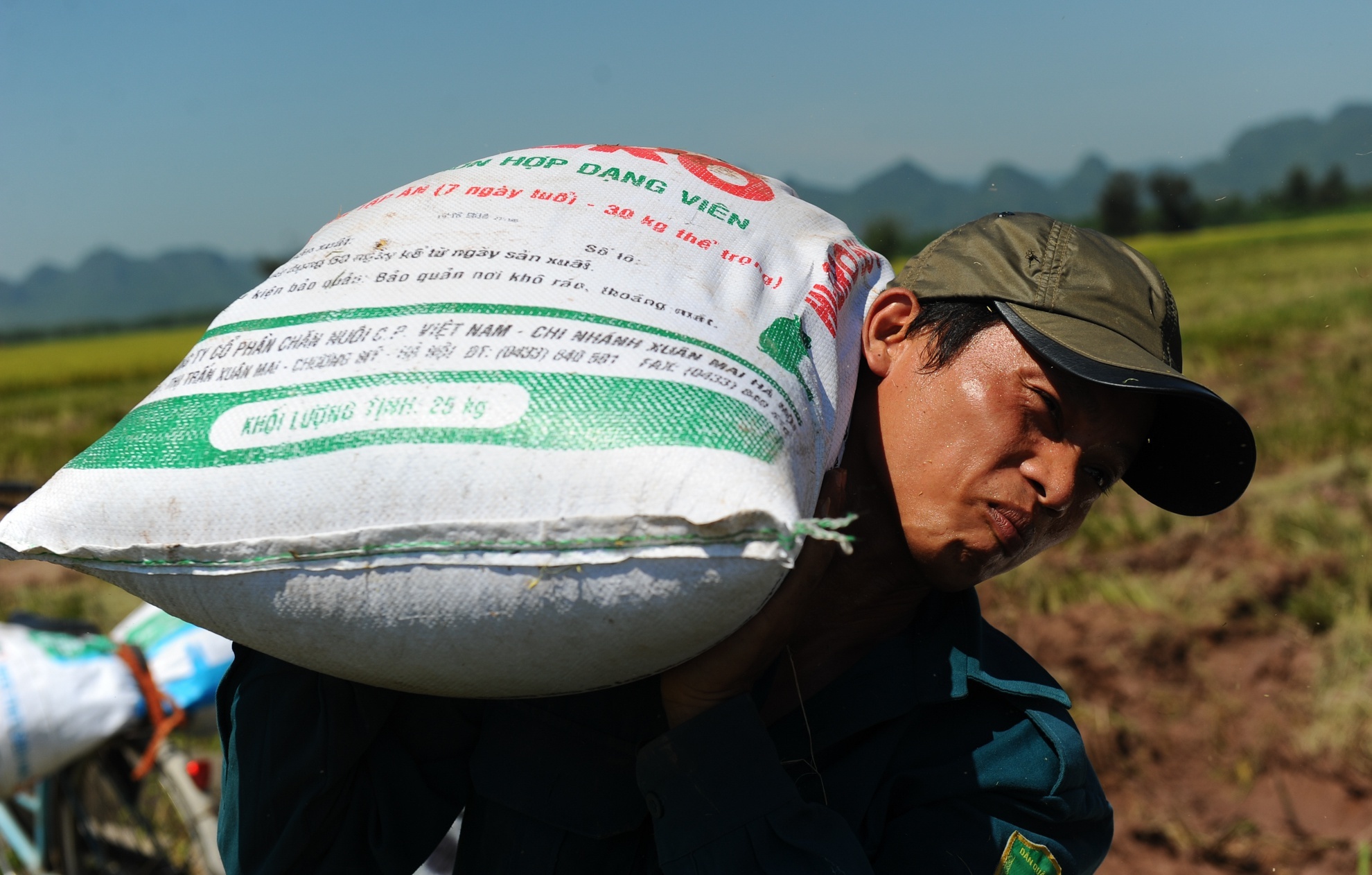 De nghi tam dung xuat khau gao te den het 15/6 hinh anh