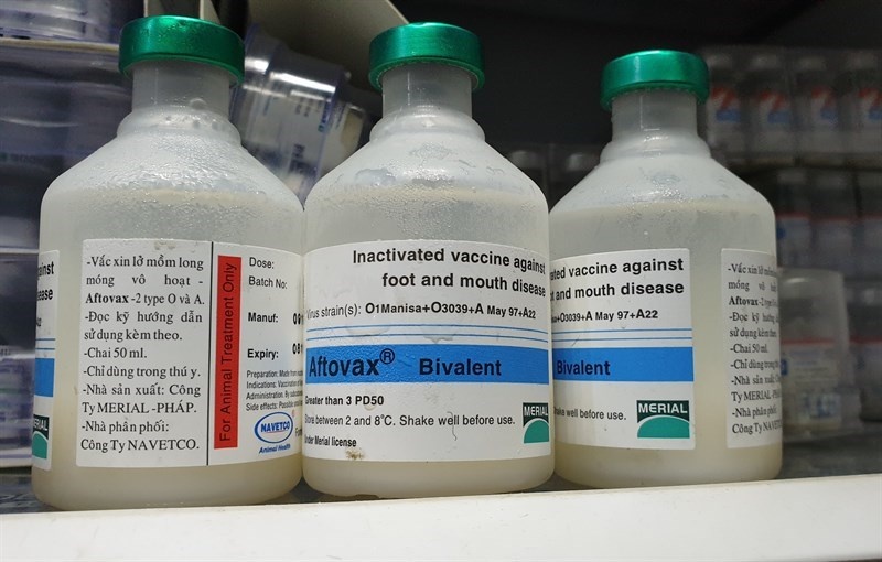 Cong ty san xuat vaccine ta lon chau Phi, gia co phieu tang 50%/tuan hinh anh