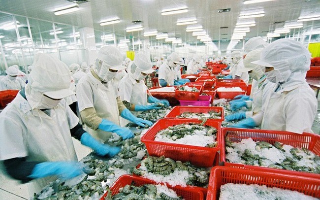 ‘Vua tom’ Minh Phu lai 1,5 ty dong/ngay hinh anh