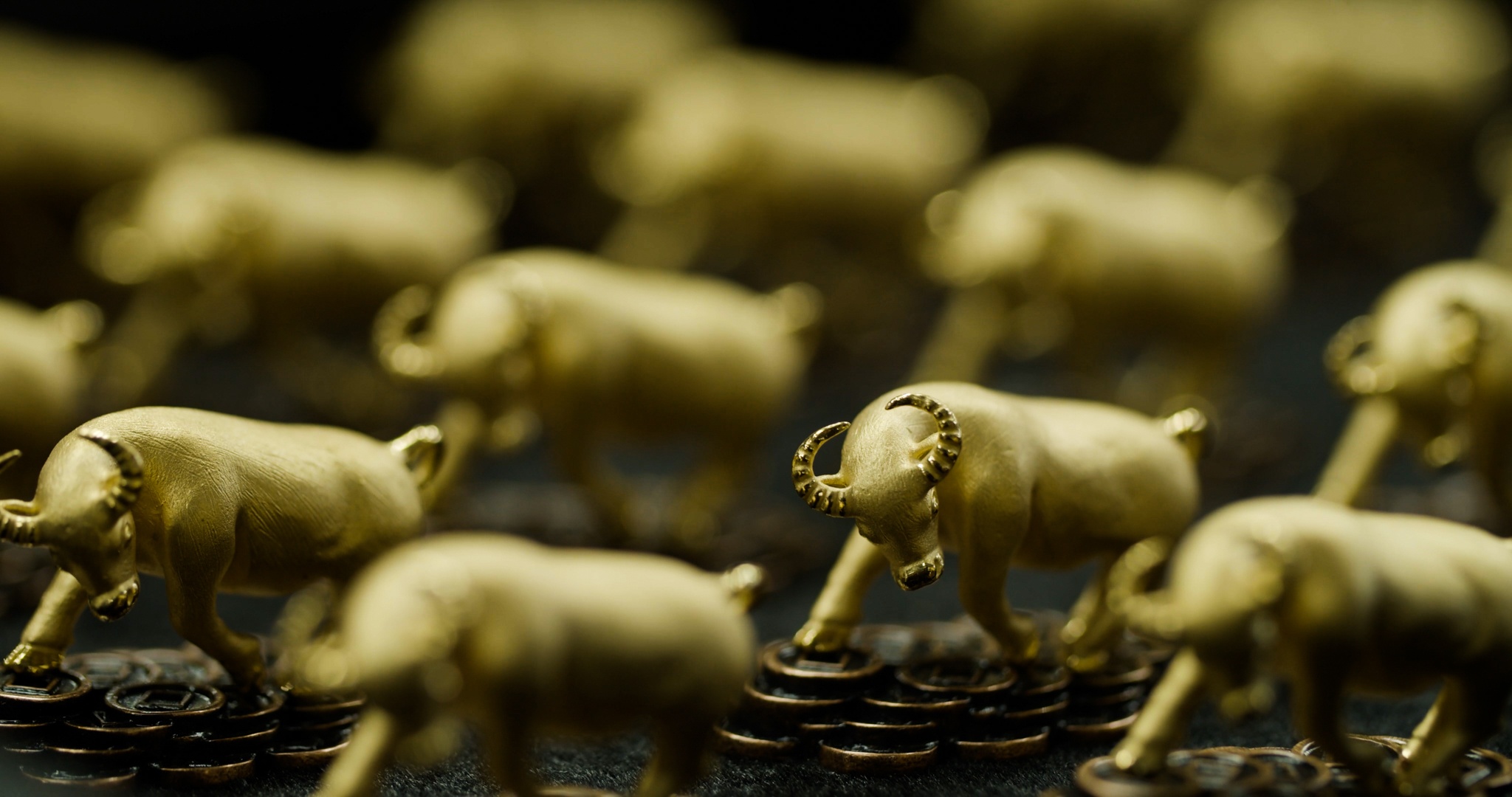 Buc tranh trai nguoc cua gia vang nam 2021 hinh anh