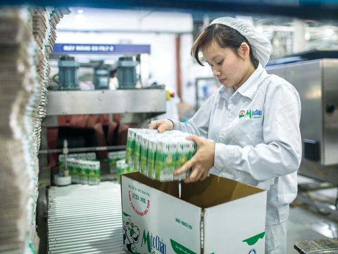 Sua Moc Chau tham vong doanh thu lan dau vuot 3.000 ty dong hinh anh