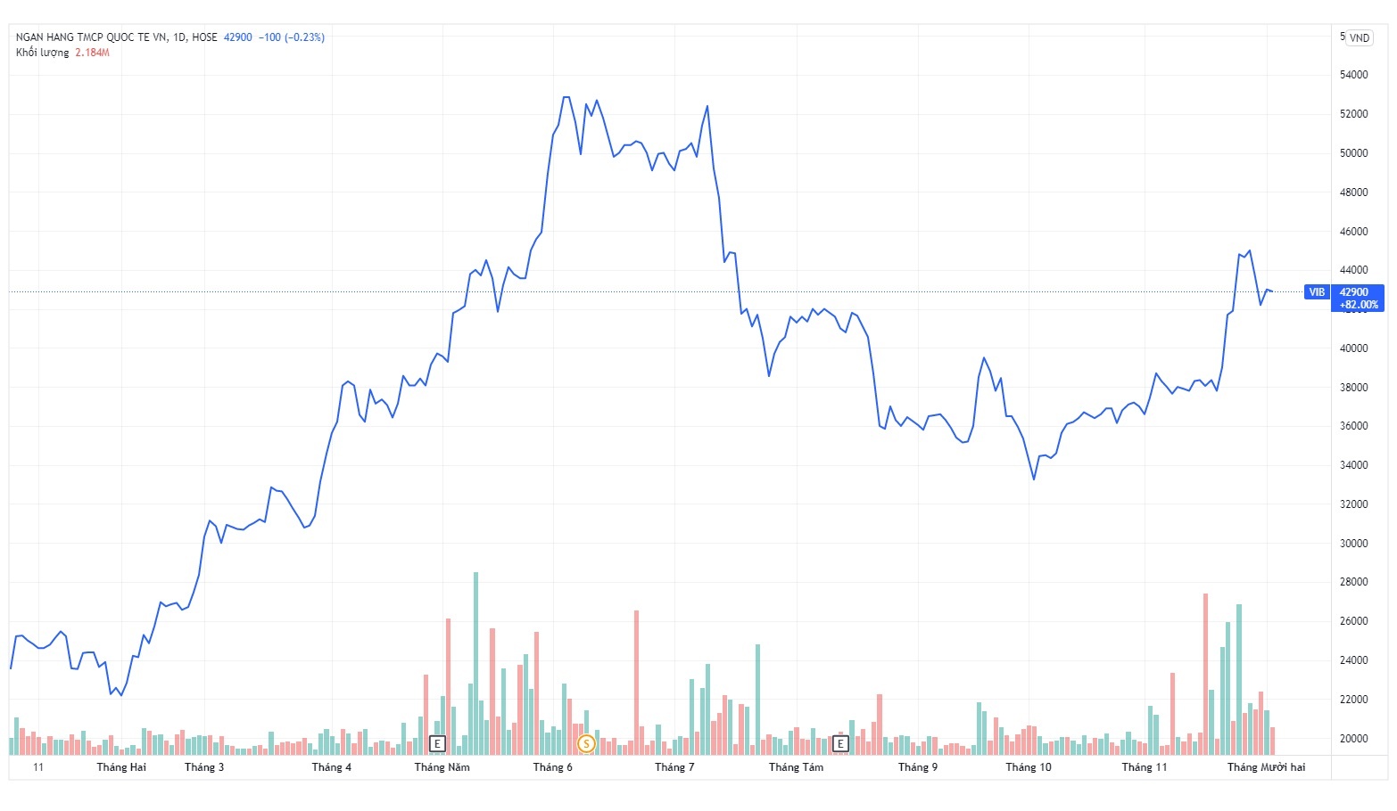 Con gai pho chu tich VIB chi gan tram ty mua co phieu anh 1