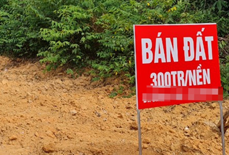 Thu gan 45.000 ty dong thue tu nha, dat trong quy I hinh anh