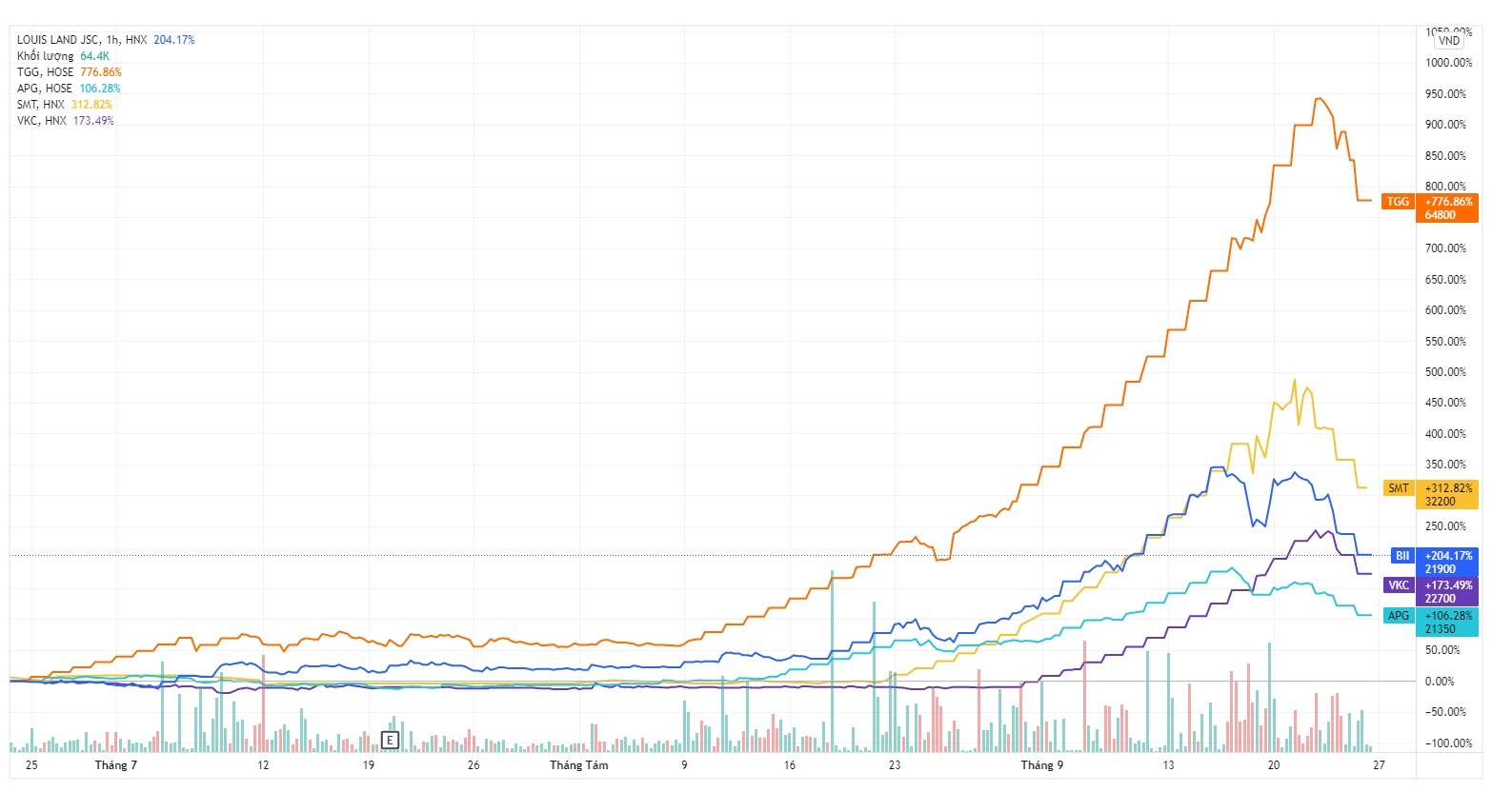 Lanh dao Uy ban Chung khoan noi gi ve co phieu ‘nhom Louis’? anh 1