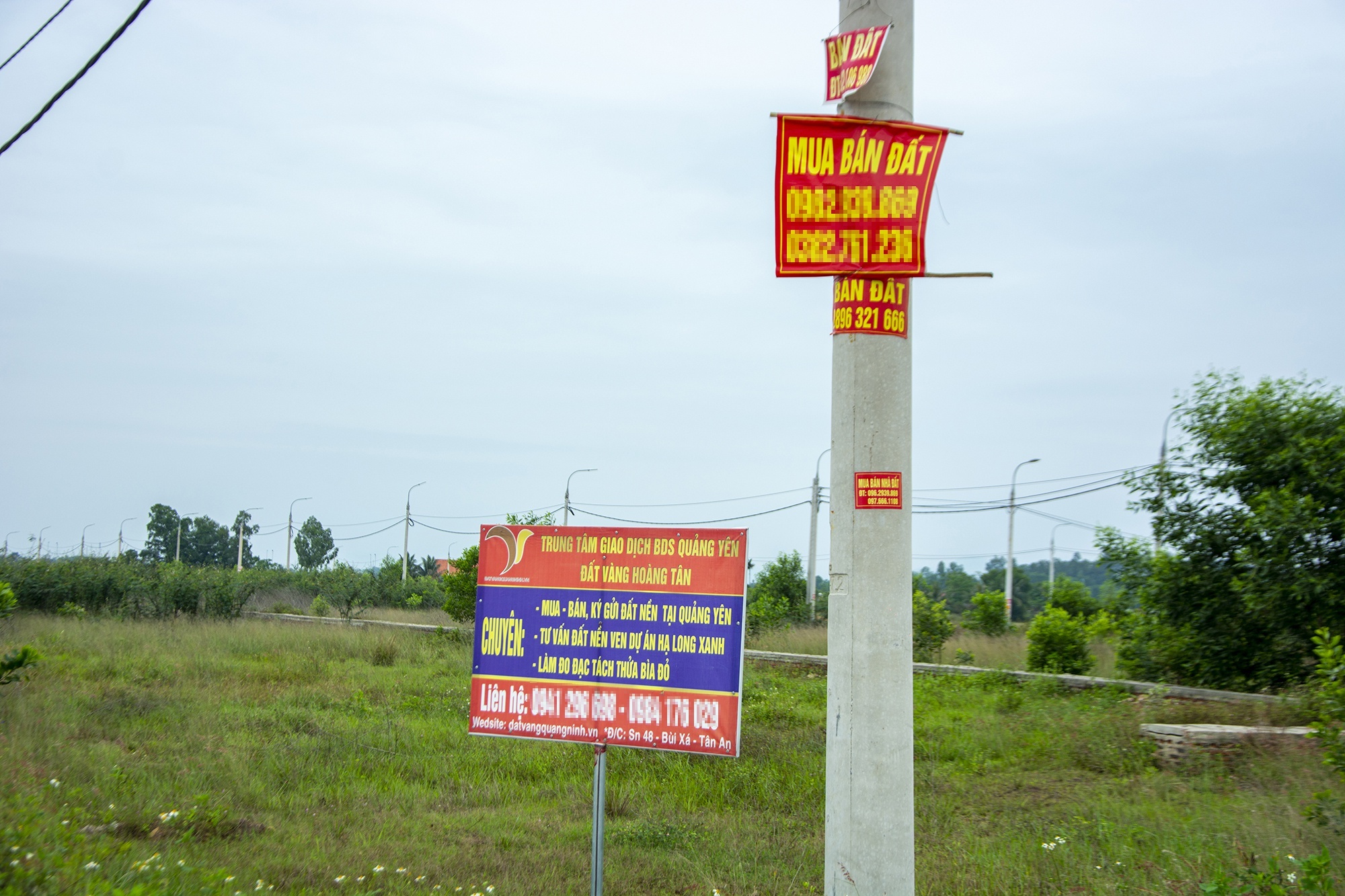 'Tin dung bat dong san khong tang dot bien’ hinh anh