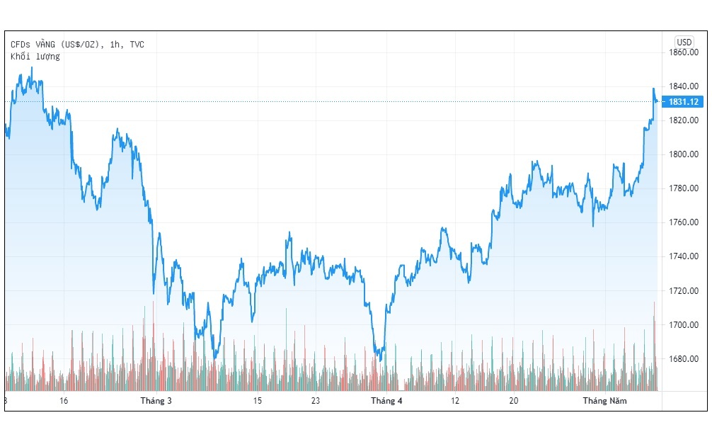 Gia vang tang manh nhat tu dau nam anh 1