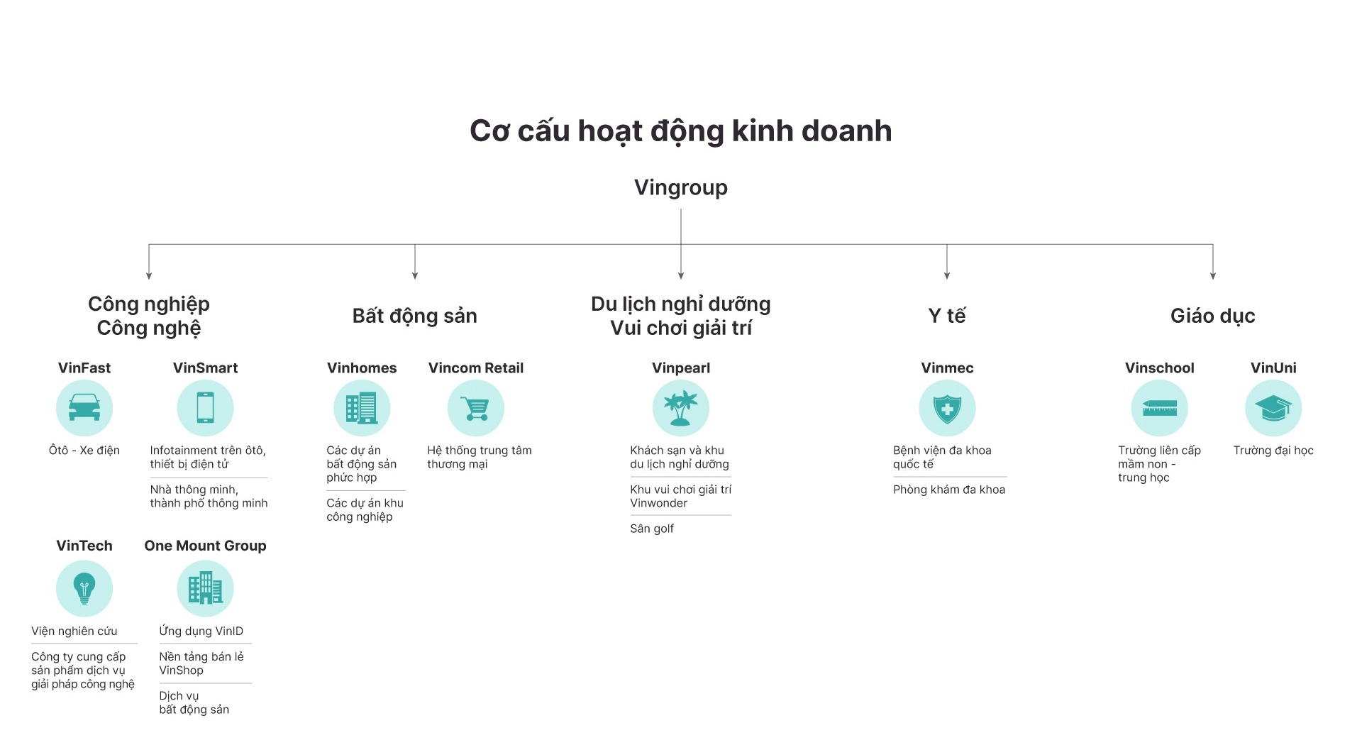 Vingroup dang kinh doanh trong linh vuc nao anh 1