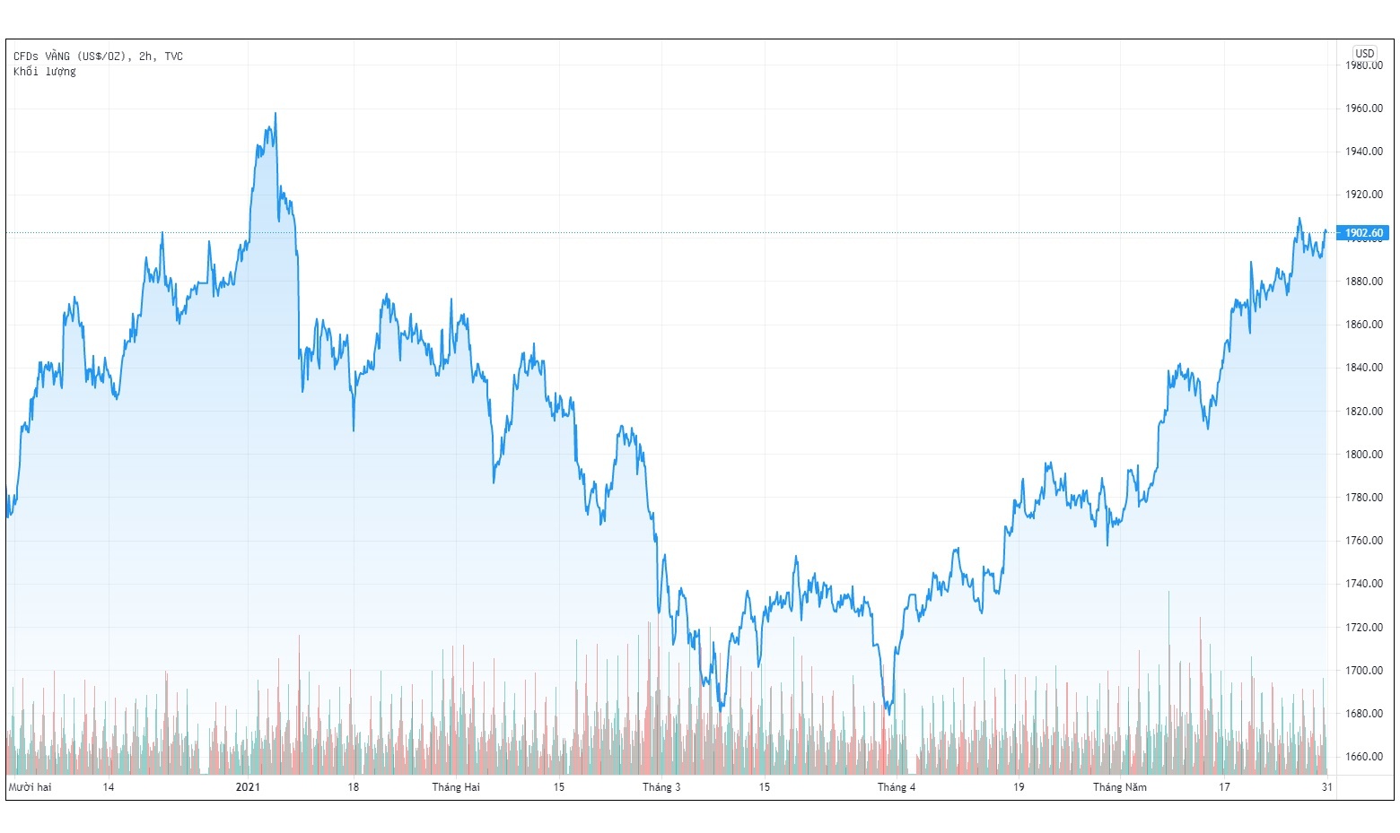 Gia vang tang len gan 57 trieu dong/luong anh 1